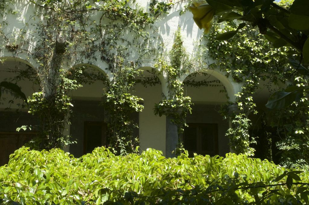 Casa Mision De San Miguel San Miguel de Allende Exterior foto